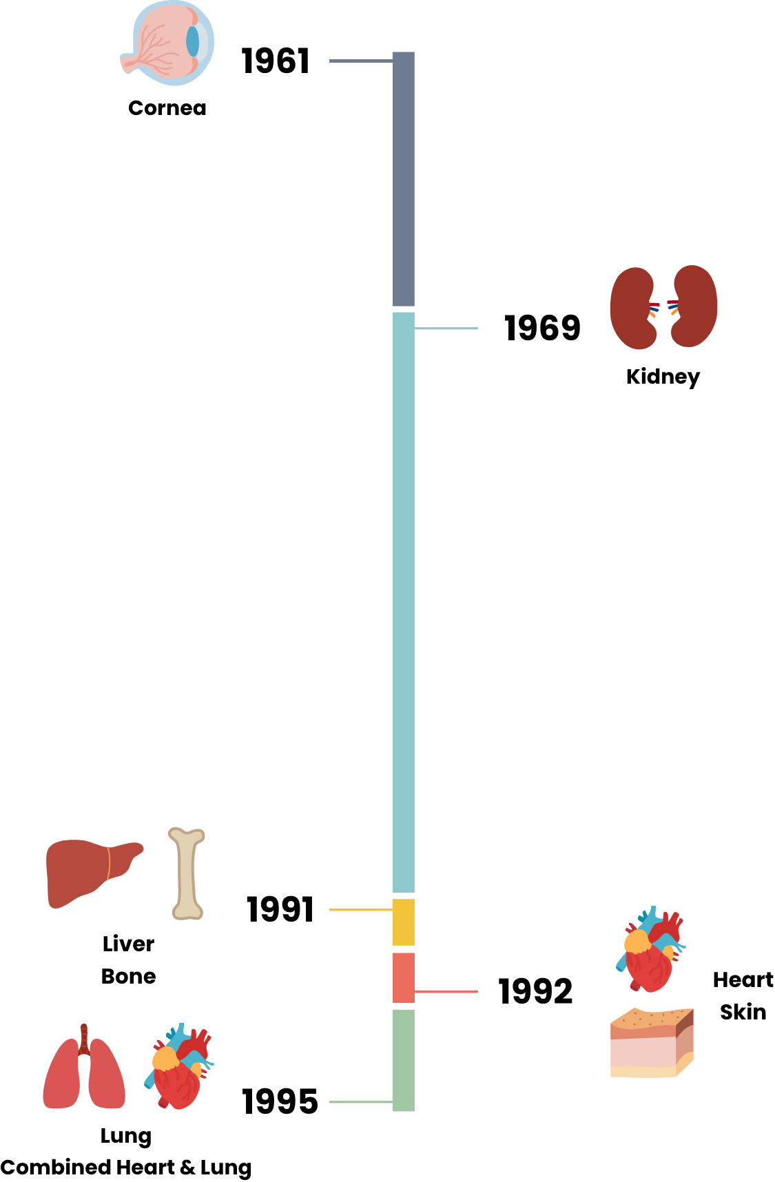 Milestones of Organ Transplantation in Hong Kong In Hong Kong, the first corneal transplantation was conducted in 1961, the first deceased kidney transplantation in 1969, the first deceased liver transplantation and the first bone transplantation in 1991, the first heart transplantation and the first skin transplantation in 1992, the first lung and the first combined heart and lung transplantation in 1995. Mobile