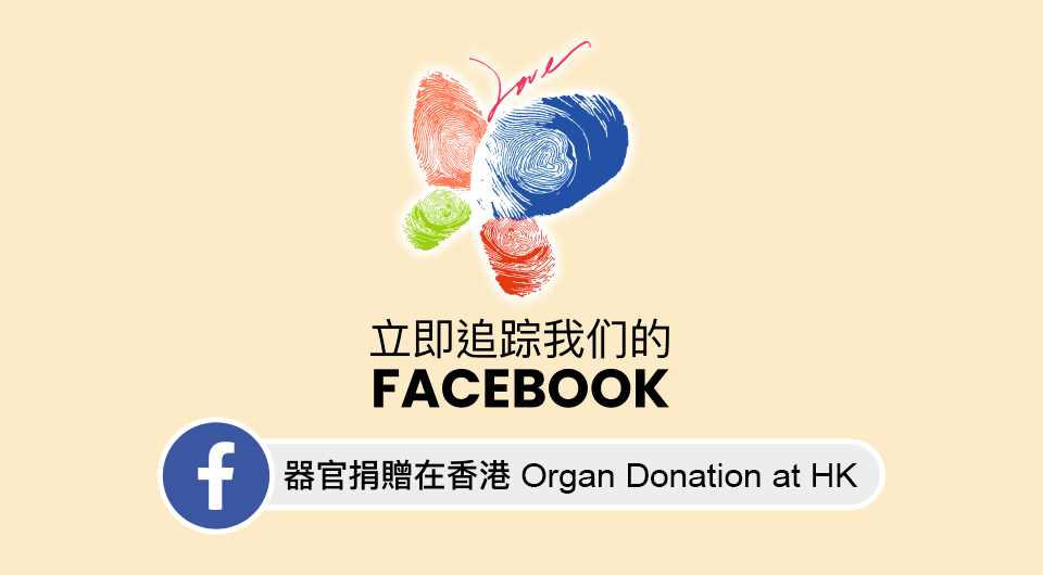 在 Facebook 上关注我们