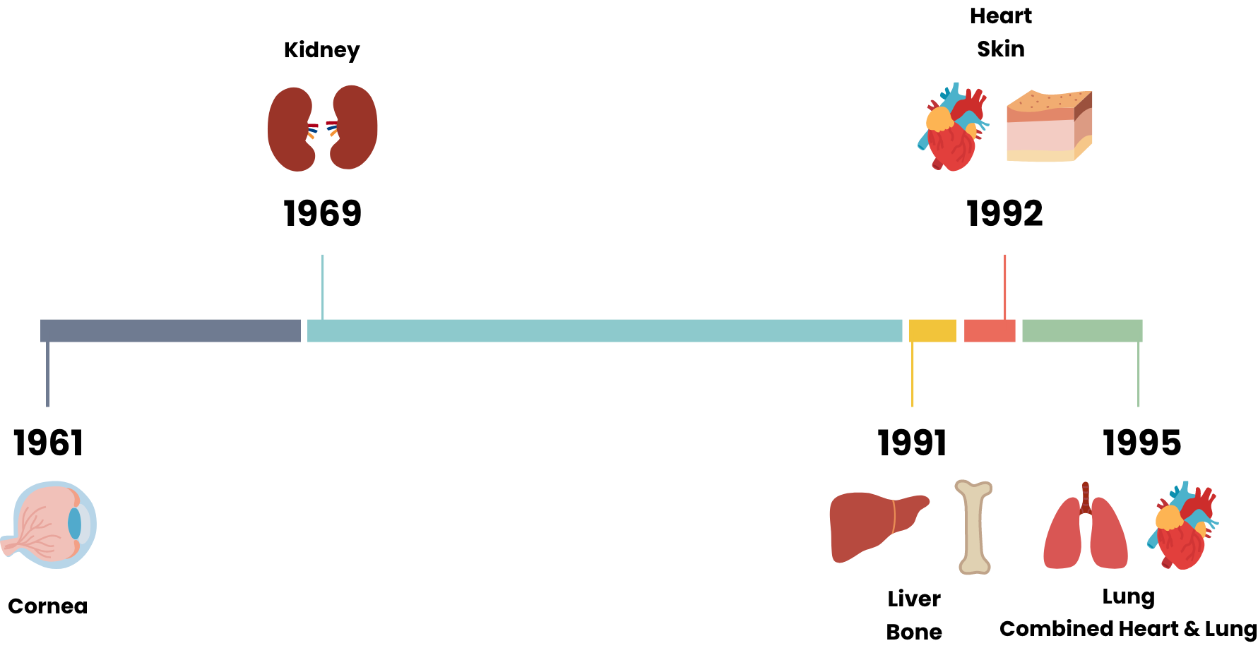 Milestones of Organ Transplantation in Hong Kong In Hong Kong, the first corneal transplantation was conducted in 1961, the first deceased kidney transplantation in 1969, the first deceased liver transplantation and the first bone transplantation in 1991, the first heart transplantation and the first skin transplantation in 1992, the first lung and the first combined heart and lung transplantation in 1995. Desktop